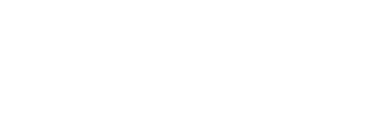 Mohawk Logo White