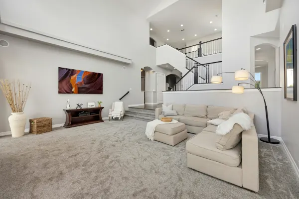 Living Room Carpet